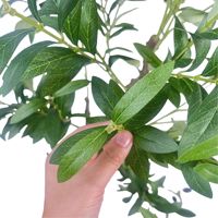 Künstlicher Olivenbaum 55cm Künstlicher Olivenbaum im Topf Kleine Pflanze für Regal Schreibtisch Eingangsbereich Deko Kein Gießen OEM Maßanfertigung