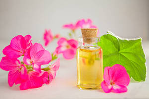 Aceite Esencial de Geranio para el Cuidado del Cabello, la Piel y el Cuerpo, Apto para Terapia de Masajes, Terapia de Spa, Relajación y Nutrición Capilar - Product Image 3