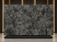 Dalle de marbre noir Alpes polie, panneau de pierre noire pour comptoirs, revêtement mural, bureaux d'accueil et aménagement intérieur de villas