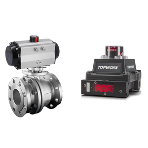 Interruptor de límite Topworx chino de bola flotante On-Off - Product Image 6