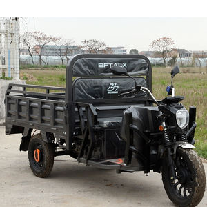 Triciclos de carga de tipo abierto eléctrico para adultos, triciclos de carga de camión eléctrico de 3 ruedas con cubierta de lluvia a la venta con <span class=keywords><strong>EEC</strong></span> y COC - Product Image 3