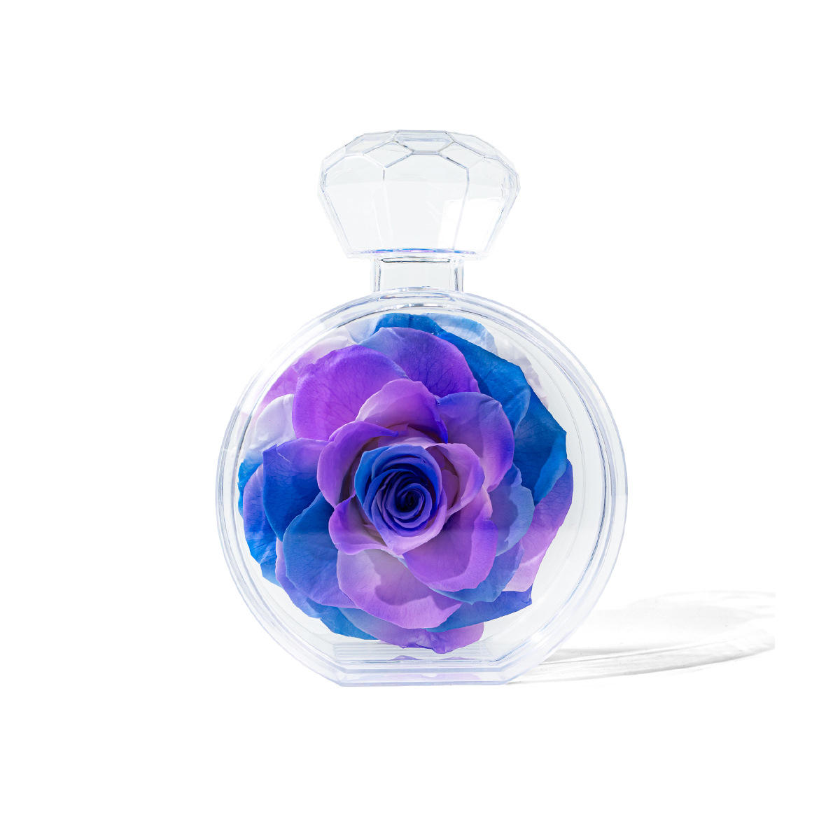 Single blue-purple round bottle