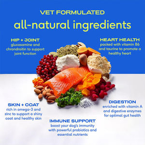 Factory Supply Vitamins Supplements 11-in-1 Multivitamin <strong>Powder</strong> Probiotics Omega-3 for Dog Joint Care Pet Immune Heart Health - Product Image 5