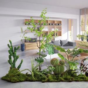 Árbol Bonsái Artificial de Plástico para Decoración de Interiores, Planta de Hierba Artificial Tipo Plátano Viajero de 160 cm - Product Image 2