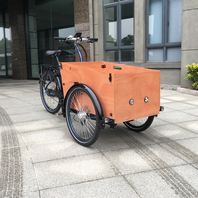 Aluminum Alloy Frame with Middle Motor Electric 3 Wheel Cargo Bike Tricycle Stock Bike Now