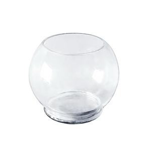 Bol à Poissons Rond en Verre Transparent de 10 Pouces en Gros - Product Image 6