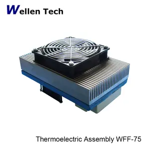 Thermoelelctric System Assembly Peltier Cooling Device Peltier Drink Cooler Semiconductors Peltier Heaters Price Air Cooler