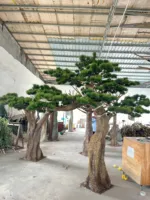 Bois naturel Artificiel Bonsaï Arbre Verdure Style Pin Aiguille Sculpture pour La Maison Jardin Décor Haut Facteur D'assurance