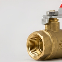 Robinet à bille en laiton de 1/2 pouce avec filetage femelle, levier rouge, fermeture à quart de tour, PN16 pour l'alimentation en eau
