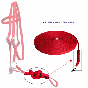 Yeni varış at düz yarış dizgin dayanıklılık yarış Halter özel Logo at düz atlama dizgin Rein - Product Image 6