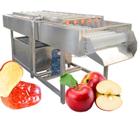 304 Roestvrijstalen Jujube Diverse 300Kg Fruit Groente Wassen Verwerking Hogedruk Spray Roller Reinigingsmachine