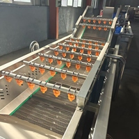 Industriële groente- en fruitwasmachine voor zwaar gebruik met droogsysteem - Professionele reiniger voor diverse soorten producten