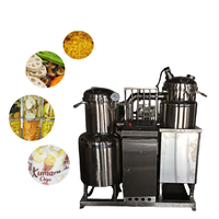 Mini friteuse sous vide 10kg pour chips de Jackfruit croustillantes