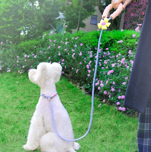 Retractable Solid Eco-Friendly Dog Leash Anti-Pull Training Escape-Proof Nylon with Scarf Lace Rivet for Small/Medium/Large Dogs - Product Image 3