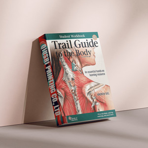 <span class=keywords><strong>Libro</strong></span> de Trabajo para Estudiantes del Guía del <span class=keywords><strong>Cuerpo</strong></span> Humano de Biel, 6.ª Edición, Tapa Blanda, <span class=keywords><strong>Libro</strong></span> de Texto Médico, Encuadernación Perfecta, Impresión de Libros Personalizada - Product Image 6