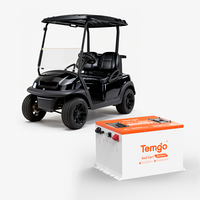 Batterie lithium haute puissance Temgo 48V 100Ah pour voiturette de golf, avec BMS 300A, boîtier métallique, application Bluetooth et chargeur LCD, pour l'approvisionnement des flottes et des concessionnaires