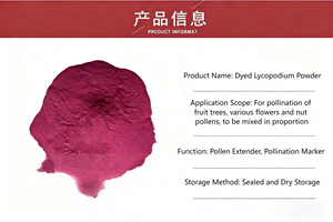 Pó de Licopódio 100% Puro e Natural, Específico para Polinização, Direto da Fábrica, Embalagem a Granel, Personalizável - Product Image 5