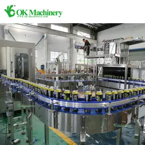 Hot Sale Aluminum Can Carbonated Beverage Making Filling Machine / Energy Drink Canning Sealing Production Line
