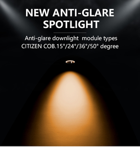 <span class=keywords><strong>20W</strong></span> COB downlight Led đèn trần ánh sáng 0-10V Dimmable Downlight chống chói cửa hàng khách sạn Spotlight nhôm đèn - Product Image 3