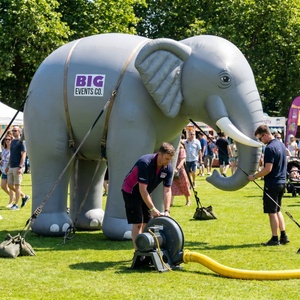 Mascotte géante gonflable en forme d'éléphant, PVC de qualité commerciale, décoration animale gonflable publicitaire pour la promotion des zoos - Product Image 4