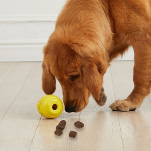 2.5 Inch Eco-Friendly Squeaky Tennis Rubber <b>Dog</b> Exercise Chew Toy Small TPR Training <b>Balls</b> Canine Teeth Cleaning Pet Toy - Product Image 4