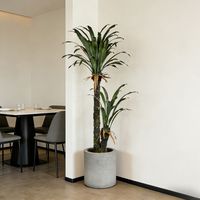 Arbre de yucca artificiel à feuilles longues très réaliste de 250 cm, décoration paysagère intérieure, plantes en pot de yucca artificielles