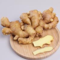 Tranches de gingembre frais biologiques AD, gingembre frais en gros, matière première pure