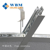 Grille de plafond peinte de haute qualité pour système de T-BAR suspendu résistant à la corrosion ignifuge facile à installer idéal pour centre commercial de bureau