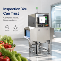 Máquina de Rayos X para Alimentos con Componentes Centrales PLC para Detectar Metales, Vidrio, Piedras y Contaminantes Extranjeros, 1 Año de Garantía
