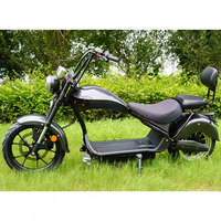 Scooter Eléctrico Citycoco de 2 Ruedas con Doble Motor de 2000w y 4000w, Entrega a Domicilio desde Almacén en la UE