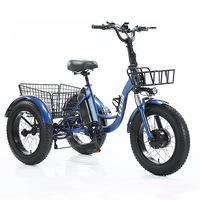 Triciclo eléctrico de 3 ruedas, 48V 500W, cuadro de aleación de aluminio, capacidad de carga de 200 kg, bicicleta para adultos, personas mayores, carga, camping y reparto.