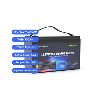 Batterie au lithium Delongtop 12V 120Ah pour stockage d'énergie solaire, pack de batteries au lithium 12,8V LFP12120, batterie au lithium 12V - Product Image 2