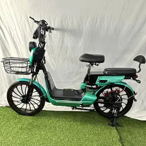 Vélo électrique adulte 12ah 20 ah 48V 350W vélo électrique vélo électrique