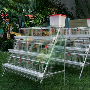 Jaula de gallinas ponedoras de 48 puestos, equipo de avicultura de alta calidad para uso en pequeñas granjas, jaula de batería para gallinas ponedoras - Product Image 4