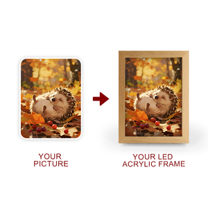 Cá Nhân Món Quà Tưởng Niệm Ánh Sáng Ban Đêm Phim Hoạt Hình Tùy Chỉnh Ánh Sáng Hình Ảnh Khung LED Acrylic Khung Tưởng Niệm Quà Tặng - Product Image 2