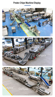 Ligne de production de chips de pommes de terre certifiée CE 150-300 kg/h avec support à vie