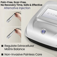 Appareil de rajeunissement cutané non invasif à double poignée, machine de beauté anti-âge pour lifting facial, usage professionnel en salon, usine ODM
