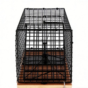 Grande cage piège à rongeurs robuste pour la capture de souris et de rats, idéale pour la lutte antiparasitaire intérieure et extérieure - Product Image 1