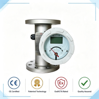 Rotámetro de Tubo Metálico Serie LZ para Fluidos de Proceso, Compacto, con Certificación CE y Protección Ex Proof