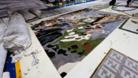 Factory Custom Wholesale Animal Design Wool Rug Hand Tufted Modern Carpet for Kids Room and Home Praying Purpose