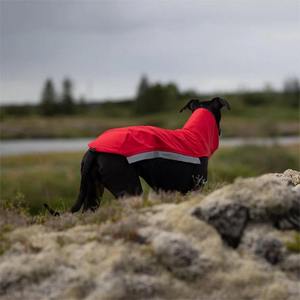 Qiqu Pet Supplies Custom New Designer Whippet Softshell Jacket Jumper pour Greyhound <span class=keywords><strong>Saluki</strong></span> Lurcher Italian Greyhound Avec fermeture éclair - Product Image 5