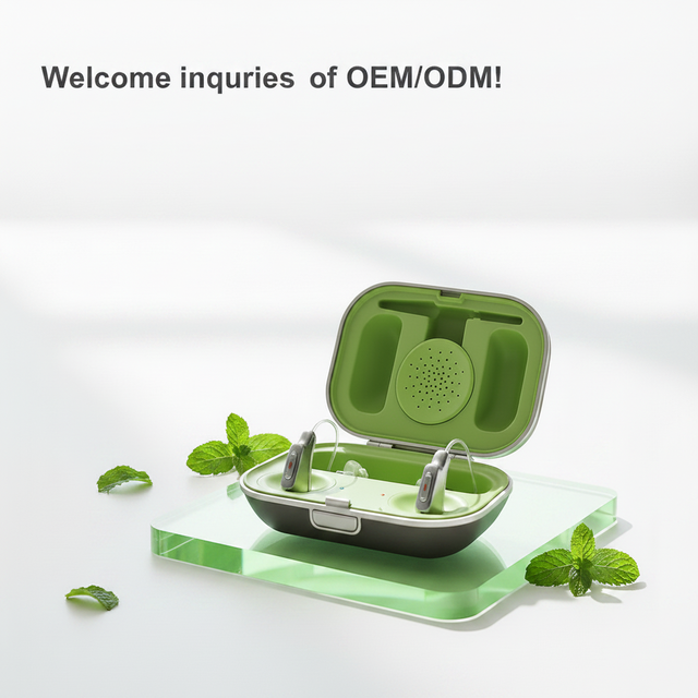 Custom Private Label One-stop Solution for Brands Bespoke Packaging 12-Channel Adjustable Hearing Aid for APP Control