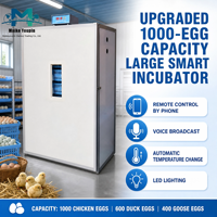 Incubateur automatique de type armoire en acier inoxydable, capacité 1000 œufs, plateau rotatif à 360°, double alimentation (AC220V/12V), intelligent, OEM/ODM