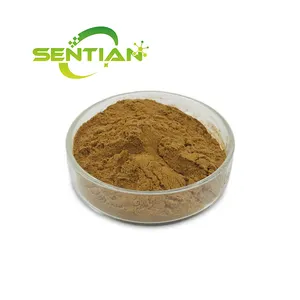 Factory Pure Natural Alpinia Officinarum Lesser Galangal Extract 10:1 Galangal Extract