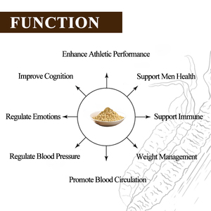 ผง10:1สกัดจากเปลือก <span class=keywords><strong>catuaba</strong></span> ธรรมชาติสำหรับแคปซูลและผู้ชาย - Product Image 2