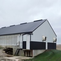 Poulailler en acier à grande échelle pour usage commercial - Solution d'élevage en lots automatisée