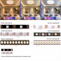 Bande LED SMD5050 à pixels adressables individuellement DC5V 12V 24V SK6812 RGBW 4-en-1 30/60/144 LED/M avec contrôle USB/Wi-Fi/télécommande intelligente