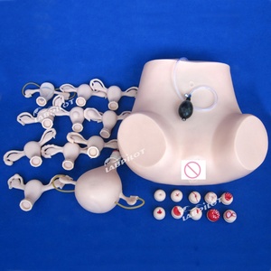 Palpatie Gynaecologisch Onderzoek Training Dummy, <span class=keywords><strong>Iud</strong></span>, <span class=keywords><strong>Vagina</strong></span>, Baarmoeder Model - Product Image 4