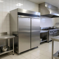 Congélateur commercial à double porte, en acier inoxydable, compatible GN2/1, refroidissement par ventilateur, réfrigérateur HoReCa EUF-2D XINYA
