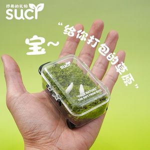 Terrarium micro-paysager en mousse, une pelouse, un bac à plantes vertes pour personne pressée, simple, facile d'entretien, décorations végétales amusantes, cadeaux - Product Image 4